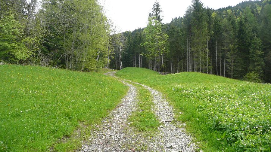 zum Wald
